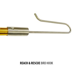 bird hook
